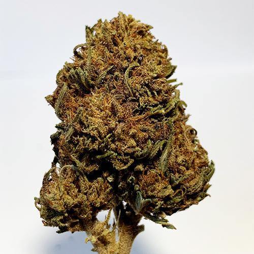 Cannatonic - Cbd Premium