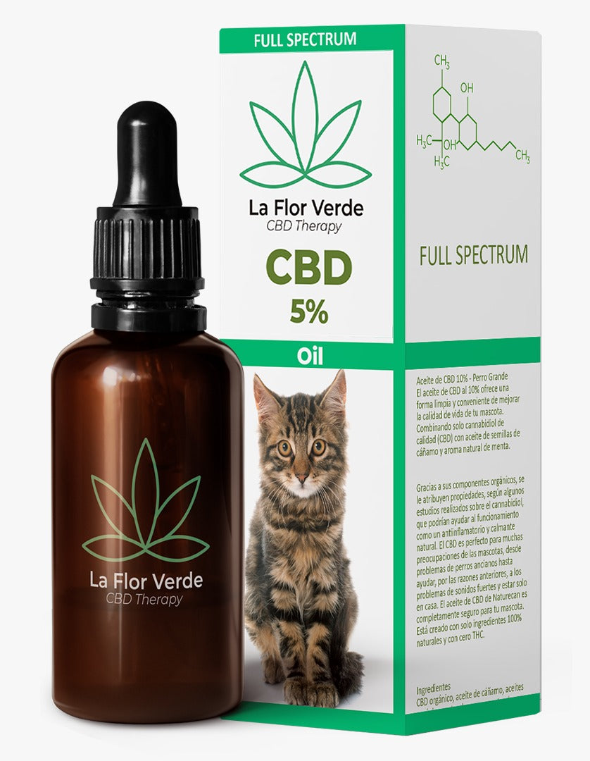 CBD veterinario mascotas